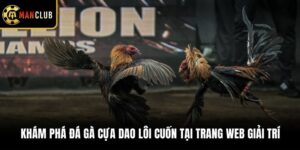 Khám Phá Đá Gà Cựa Dao Lôi Cuốn Tại Trang Web Giải Trí