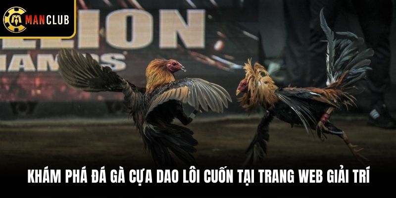 Khám Phá Đá Gà Cựa Dao Lôi Cuốn Tại Trang Web Giải Trí