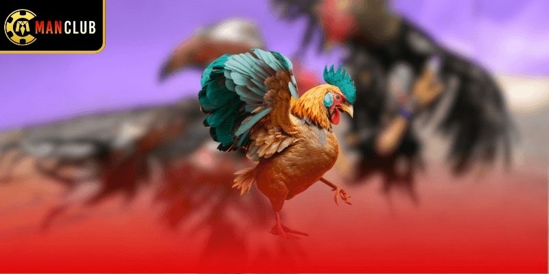 Dữ liệu quan trọng cần ghi nhớ kỹ